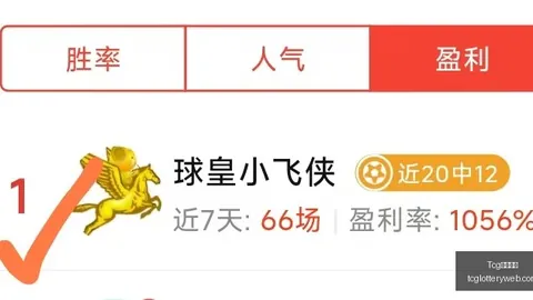 天成彩票，彩票预测， 060854 2